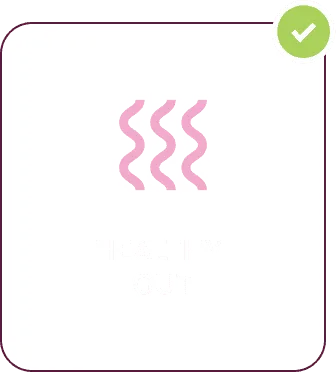 Healthy Gut
